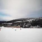 A L'oree Du Bois * Le Tholy