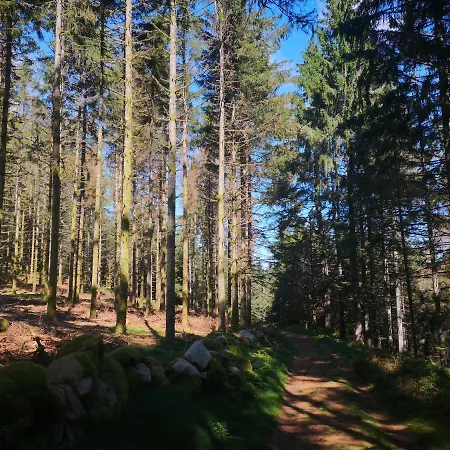 A L'oree Du Bois Chalet Le Tholy