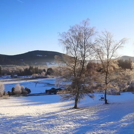 à L'orée Du Bois *