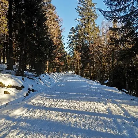 à L'orée Du Bois * Le Tholy