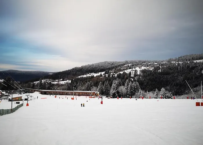 A L'oree Du Bois * 르톨리