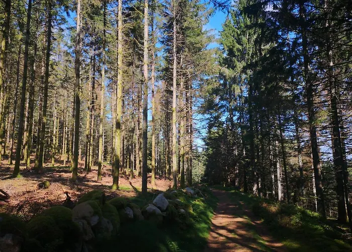 A L'oree Du Bois Alpstuga Le Tholy