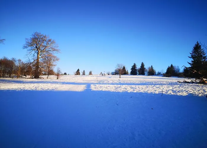 Alpstuga A L'oree Du Bois *