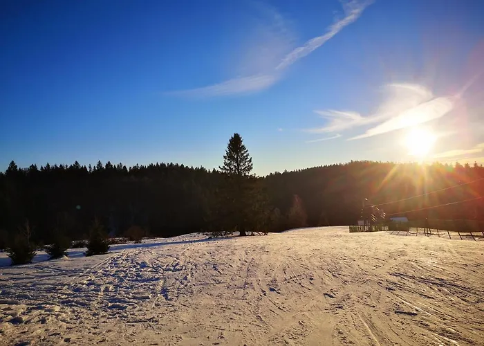 A L'oree Du Bois Alpstuga *