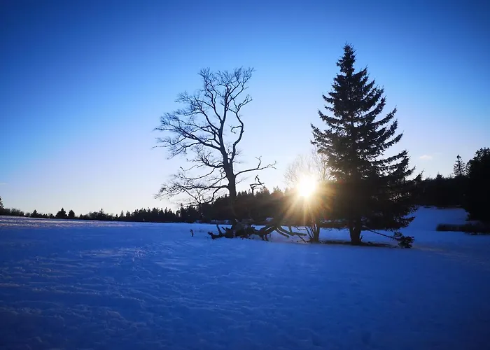 A L'oree Du Bois Alpstuga Le Tholy